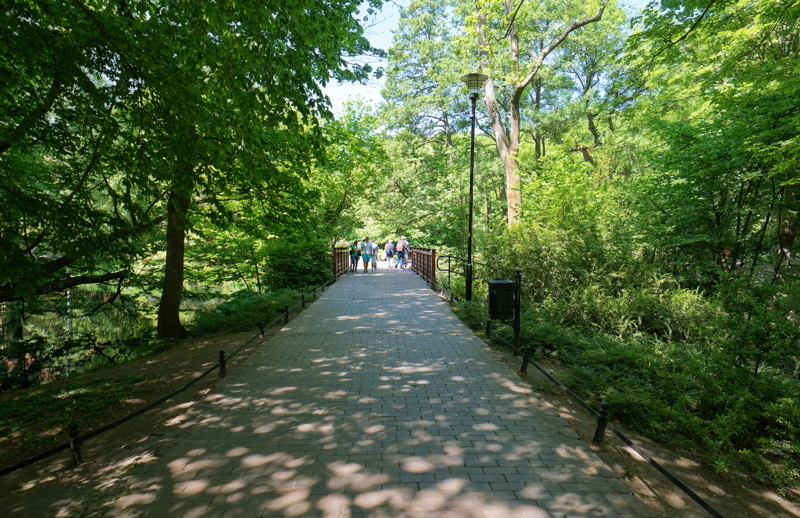 22 Iron bridge in a park